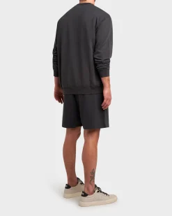 Anthracite Grey Terry Cotton Shorts