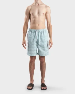 Mint And Blue Ombre Angra Board Short