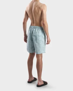Mint And Blue Ombre Angra Board Short