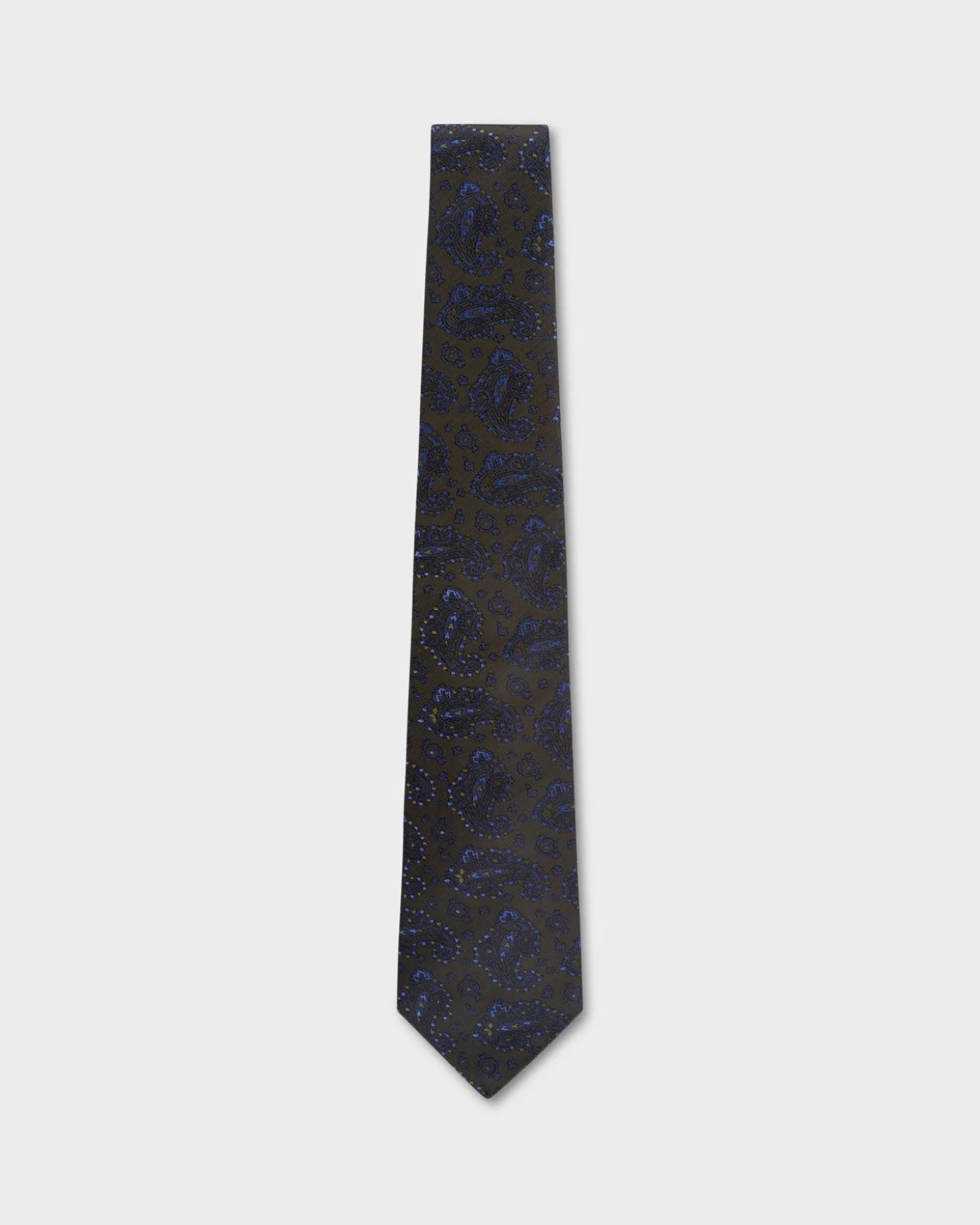 Olive With Blue Paisley Tie